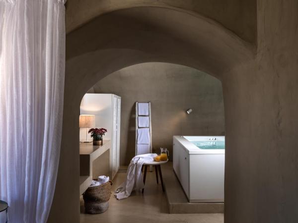 Mythical Blue Luxury Suites : photo 1 de la chambre suite senior avec petite piscine extérieure chauffée et jacuzzi intérieur chauffé