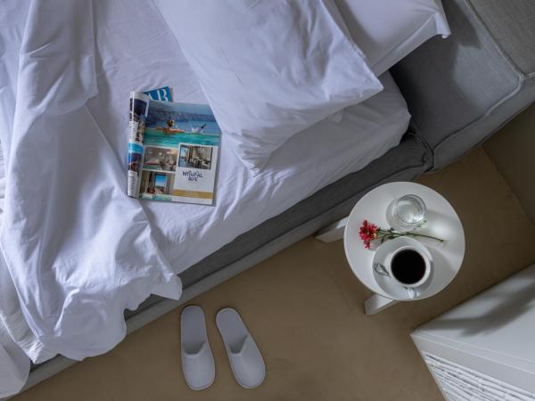 Mythical Blue Luxury Suites : photo 4 de la chambre suite senior avec petite piscine extérieure chauffée et jacuzzi intérieur chauffé