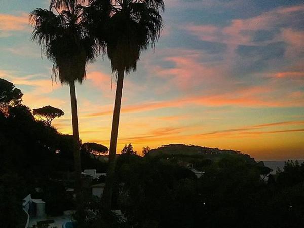 Hotel Parco Conte : photo 1 de la chambre chambre familiale avec balcon - vue sur mer
