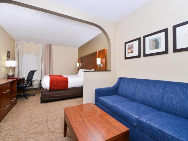 Comfort Suites University - Research Park : photo 1 de la chambre suite lit king-size – non-fumeurs