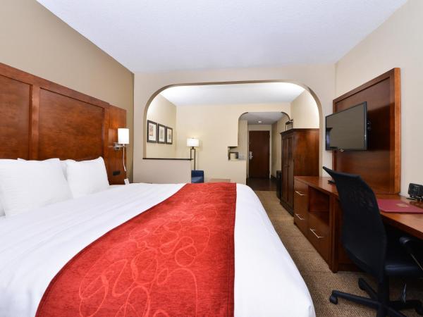 Comfort Suites University - Research Park : photo 2 de la chambre suite lit king-size – non-fumeurs