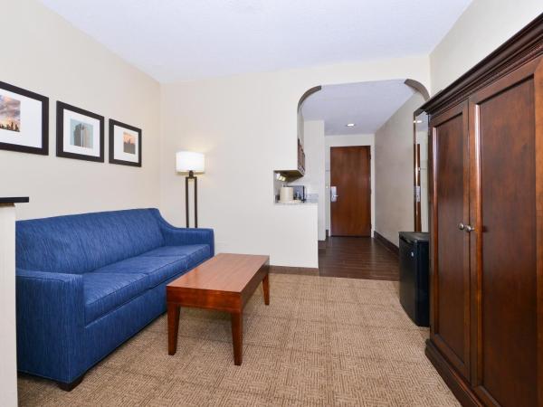 Comfort Suites University - Research Park : photo 4 de la chambre suite lit king-size avec baignoire spa - non-fumeurs