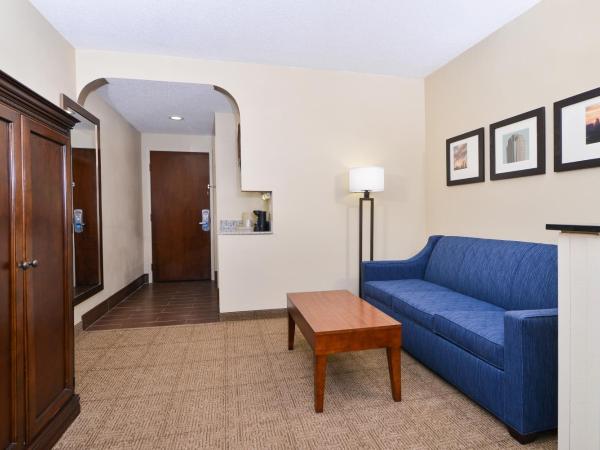 Comfort Suites University - Research Park : photo 3 de la chambre suite lit king-size – non-fumeurs