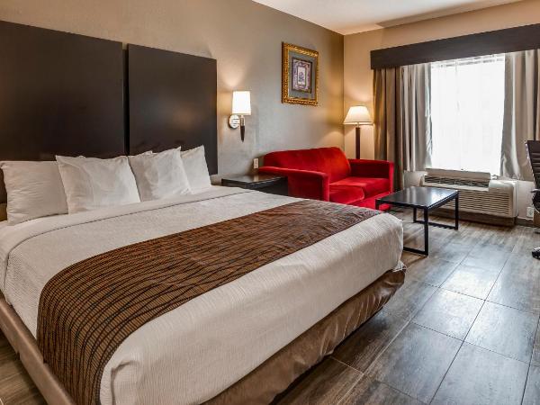 Best Western Plus Heritage Inn Houston : photo 4 de la chambre  chambre lit king-size avec douche accessible en fauteuil roulant