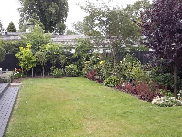 Bed & Breakfast in the Heart of Fendalton : photo 2 de la chambre chambre lit queen-size