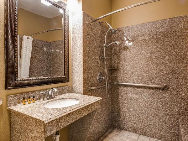 Best Western Plus Heritage Inn Houston : photo 5 de la chambre  chambre lit king-size avec douche accessible en fauteuil roulant