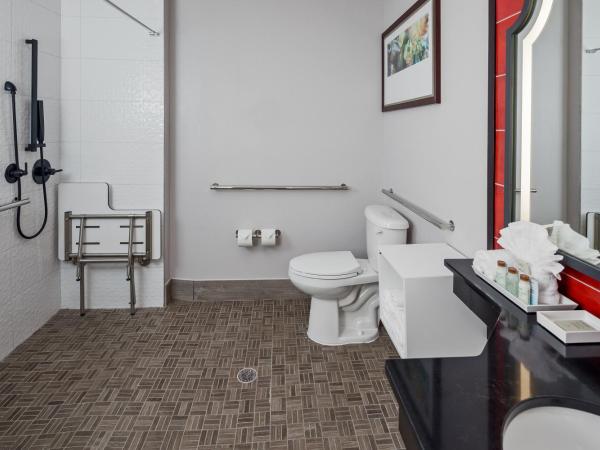 Hotel Indigo San Antonio Riverwalk, an IHG Hotel : photo 6 de la chambre chambre double - accessible aux personnes à mobilité réduite - douche accessible en fauteuil roulant