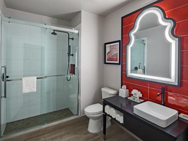 Hotel Indigo San Antonio Riverwalk, an IHG Hotel : photo 3 de la chambre chambre standard avec 2 lits queen-size