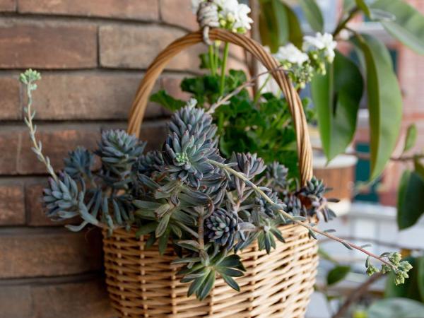Napoli Bonita b&b : photo 8 de la chambre chambre triple avec terrasse