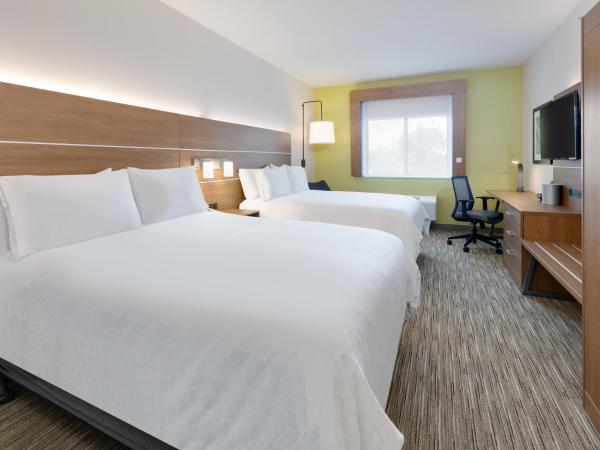 Holiday Inn Express & Suites San Antonio NW near SeaWorld, an IHG Hotel : photo 2 de la chambre chambre standard avec 2 lits queen-size