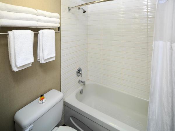Accent Inns Kelowna : photo 4 de la chambre hébergement 2 lits queen-size