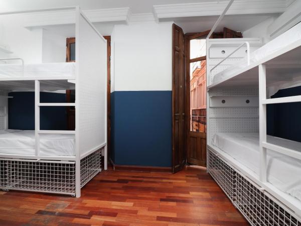 Feel Hostels City Center : photo 4 de la chambre lit dans dortoir mixte de 12 lits avec salle de bains privative