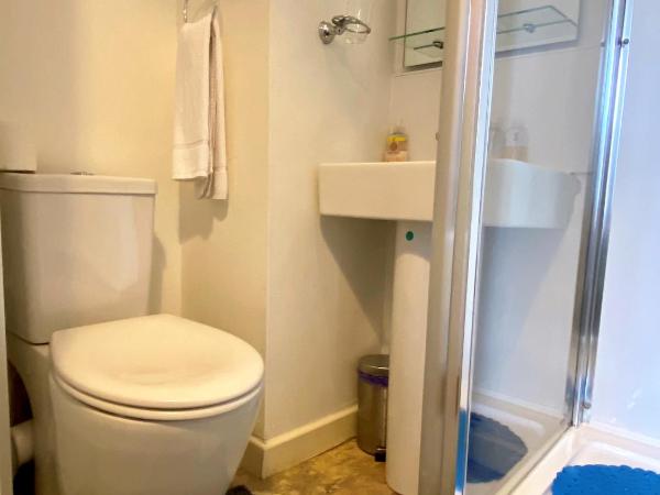 16 Pilrig Guest House : photo 7 de la chambre chambre double avec salle de bains privative