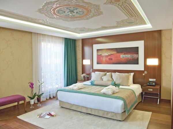 Hurry Inn Merter Istanbul : photo 1 de la chambre chambre simple supérieure