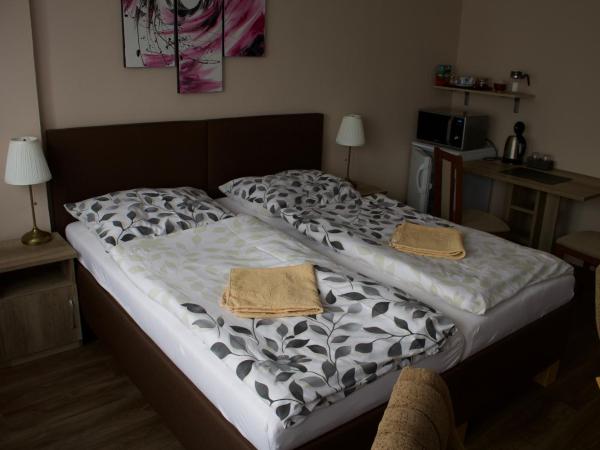 Penzion Pavel : photo 1 de la chambre chambre double ou lits jumeaux avec douche
