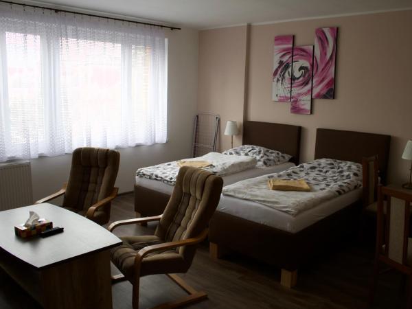 Penzion Pavel : photo 10 de la chambre chambre double ou lits jumeaux avec douche