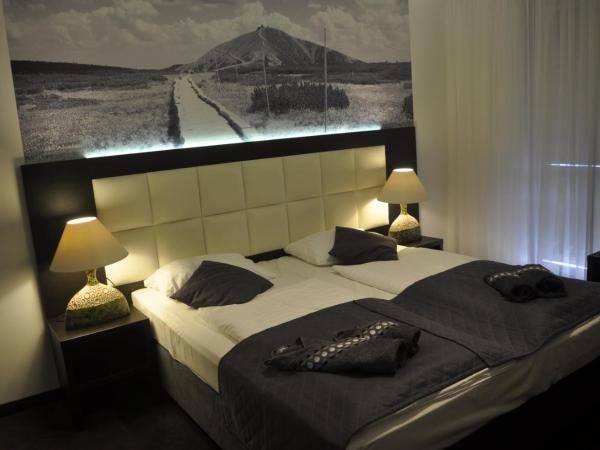 Villa Karpacz : photo 1 de la chambre chambre double avec balcon