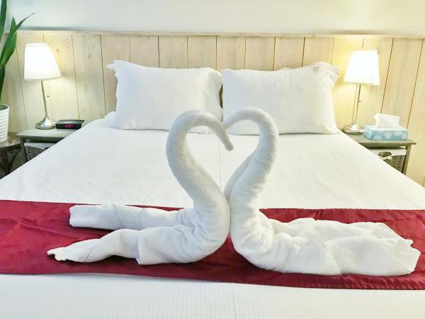 Amsterdam Home : photo 6 de la chambre studio lit queen-size de luxe