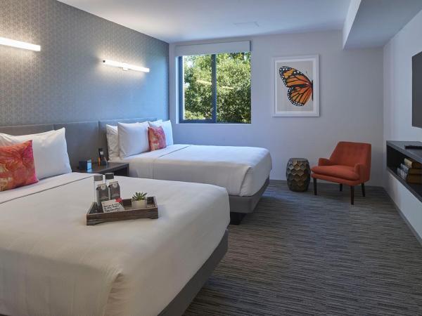 Hotel Mariposa : photo 5 de la chambre hébergement standard avec 2 lits queen-size - non-fumeurs
