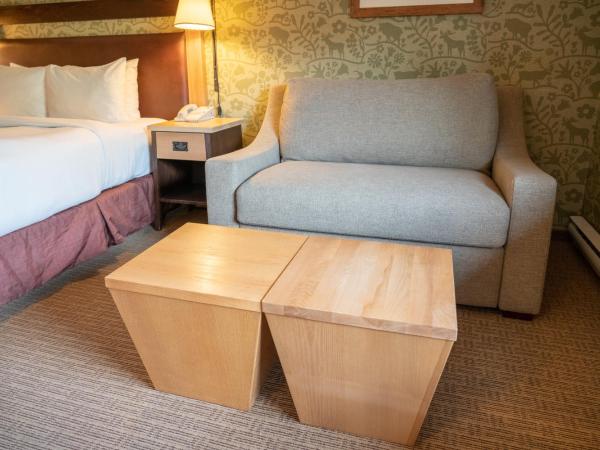 Fox Hotel and Suites : photo 4 de la chambre chambre lit queen-size 