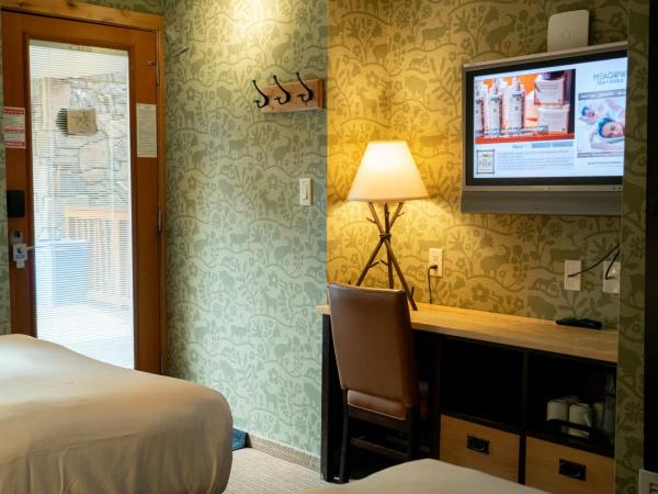 Fox Hotel and Suites : photo 4 de la chambre chambre double avec 2 lits doubles