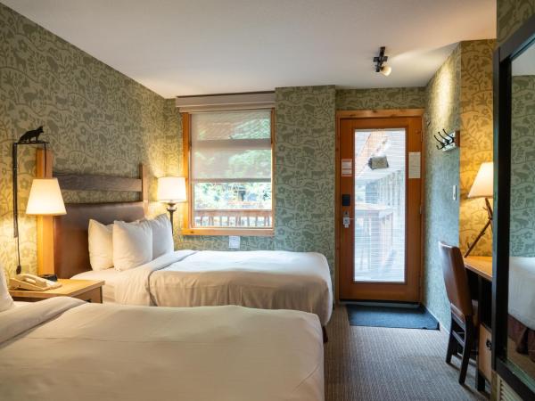 Fox Hotel and Suites : photo 1 de la chambre chambre double avec 2 lits doubles