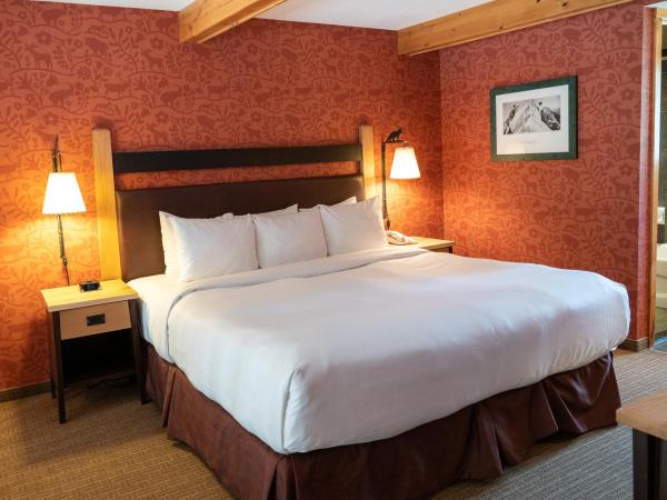 Fox Hotel and Suites : photo 7 de la chambre suite mezzanine premium lit king-size 