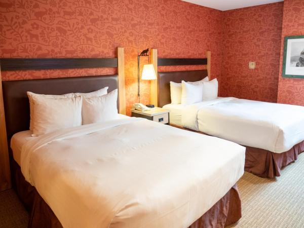 Fox Hotel and Suites : photo 5 de la chambre suite 1 chambre avec 2 lits doubles