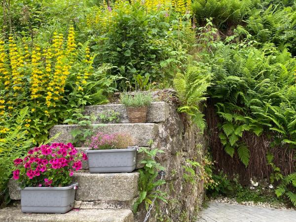 Vila Jáchymov : photo 7 de la chambre appartement 1 chambre