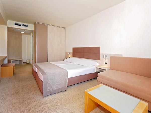 Hotel Mediteran Plava Laguna : photo 3 de la chambre chambre classique avec balcon et canapé-lit