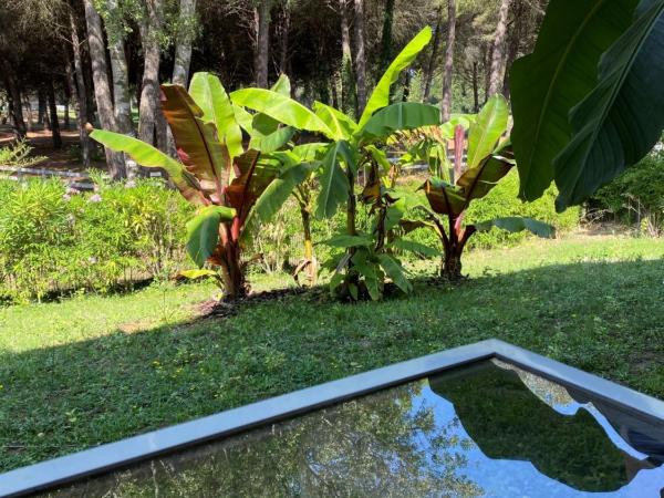 GOLF HOTEL : photo 5 de la chambre chambre double supérieure