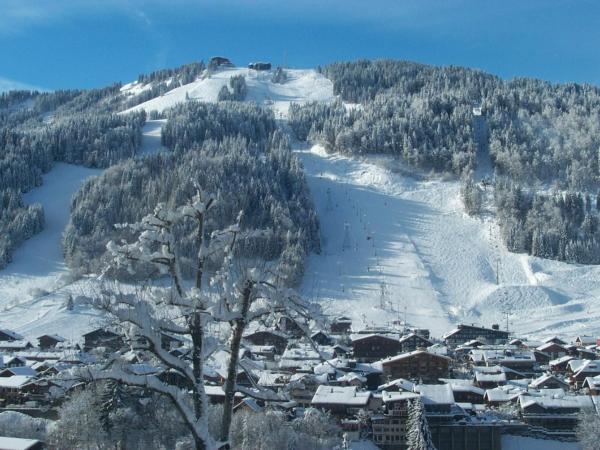 Hotel & Spa Le Dahu : photo 3 de la chambre chambre simple cosy - vue sur montagne