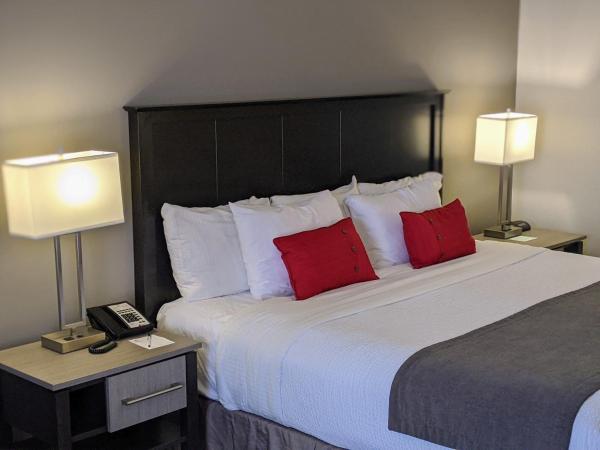 Chateau Bedford Trademark Collection by Wyndham : photo 2 de la chambre chambre lit king-size - non-fumeurs