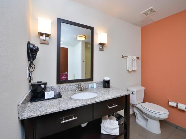 Sleep Inn & Suites Austin - Tech Center : photo 5 de la chambre chambre avec 2 grands lits queen-size 