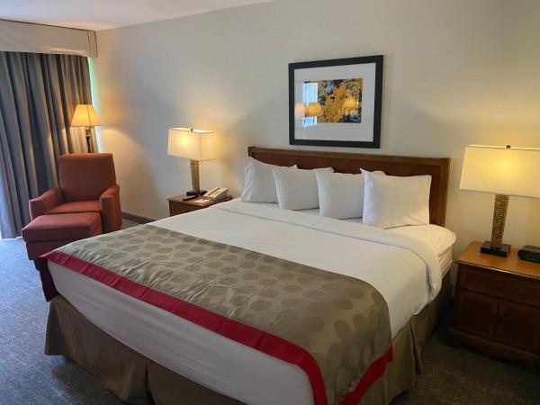 Ramada by Wyndham Albuquerque Midtown : photo 4 de la chambre chambre lit king-size - non-fumeurs