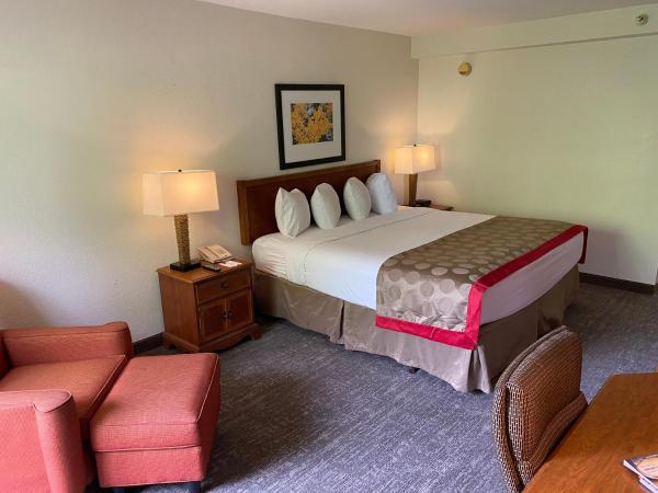 Ramada by Wyndham Albuquerque Midtown : photo 5 de la chambre chambre lit king-size - non-fumeurs