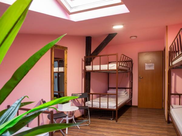 Let's Rock Party Hostel : photo 6 de la chambre lit dans dortoir 6 lits avec salle de bains commune