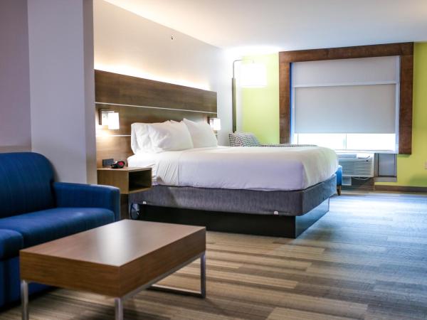 Holiday Inn Express Hotel & Suites Memphis/Germantown, an IHG Hotel : photo 1 de la chambre suite lit king-size – non-fumeurs
