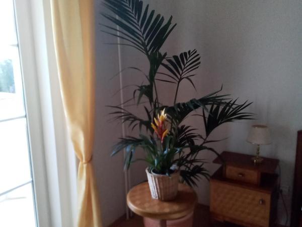 Pension Baron Schoeneck : photo 2 de la chambre appartement 2 chambres