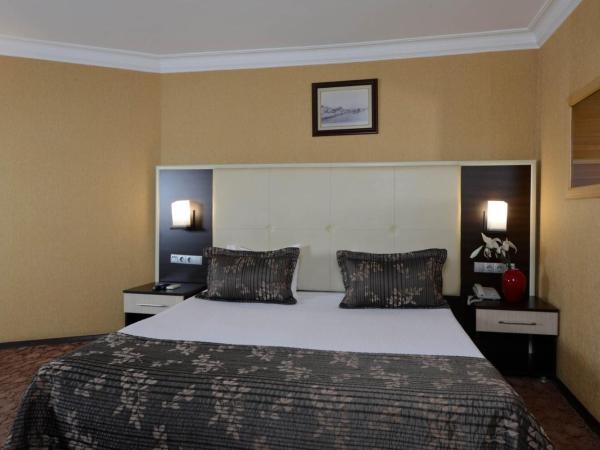 Hotel Ismira : photo 9 de la chambre chambre double ou lits jumeaux