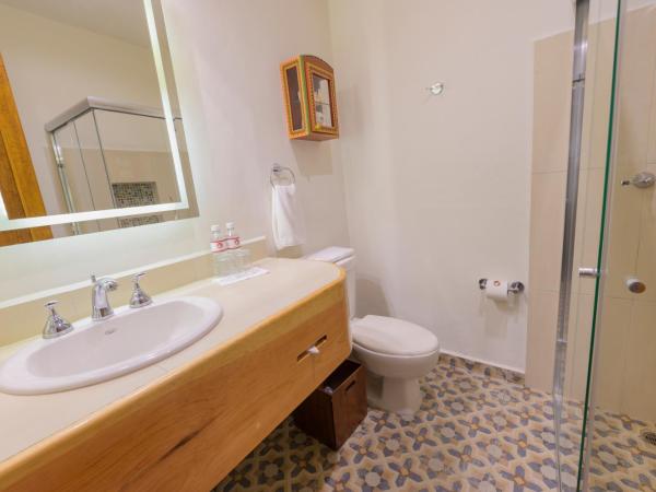 Hotel Casa Vertiz : photo 3 de la chambre chambre avec 2 grands lits queen-size