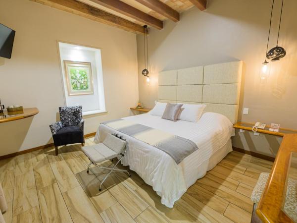 Hotel Casa Vertiz : photo 9 de la chambre chambre lit king-size standard