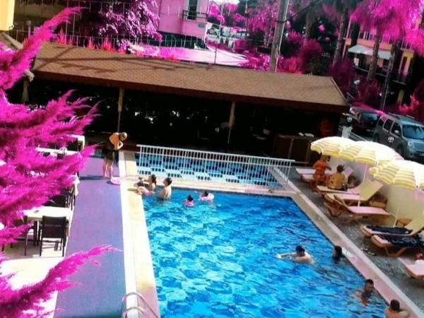 Yaman Life Hotel : photo 5 de la chambre chambre double - vue sur piscine