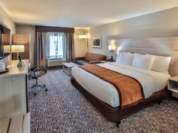 Best Western Plus Executive Residency Nashville : photo 1 de la chambre suite lit king-size avec canapé-lit