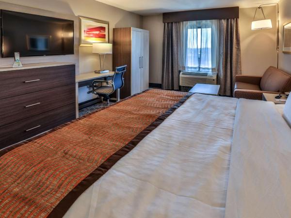 Best Western Plus Executive Residency Nashville : photo 2 de la chambre suite lit king-size avec canapé-lit