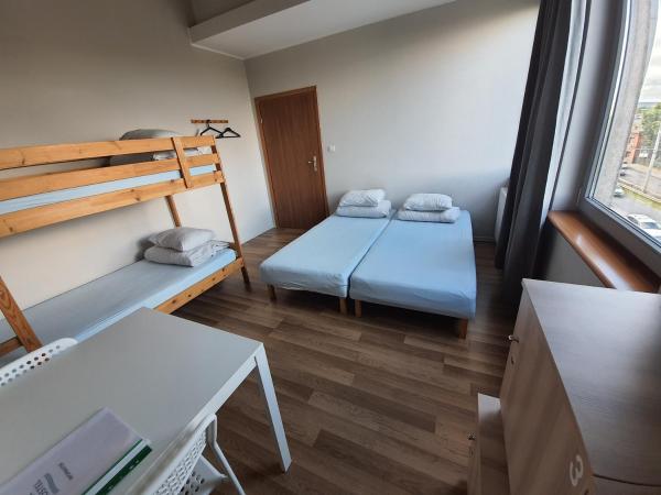 Sea Hostel : photo 4 de la chambre chambre quadruple classique