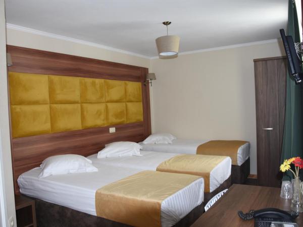 Sun Hotel : photo 8 de la chambre chambre triple confort