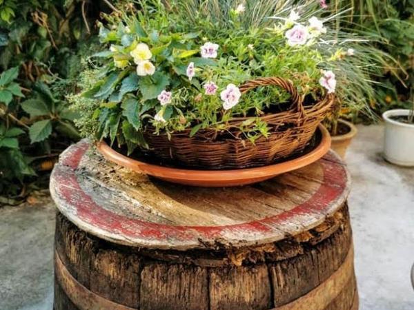 Apartments PALMA Bed & Breakfast : photo 8 de la chambre chambre double avec balcon