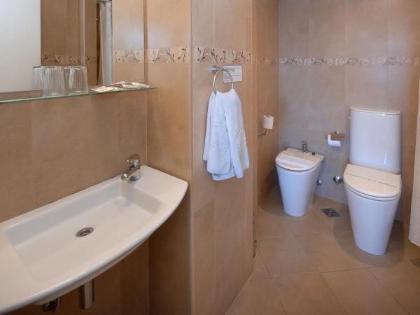 Hotel Tirol : photo 7 de la chambre chambre double ou lits jumeaux - vue sur ville