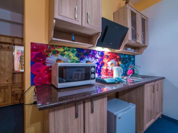 Apartamenty i pokoje gościnne Nowita : photo 2 de la chambre suite exécutive